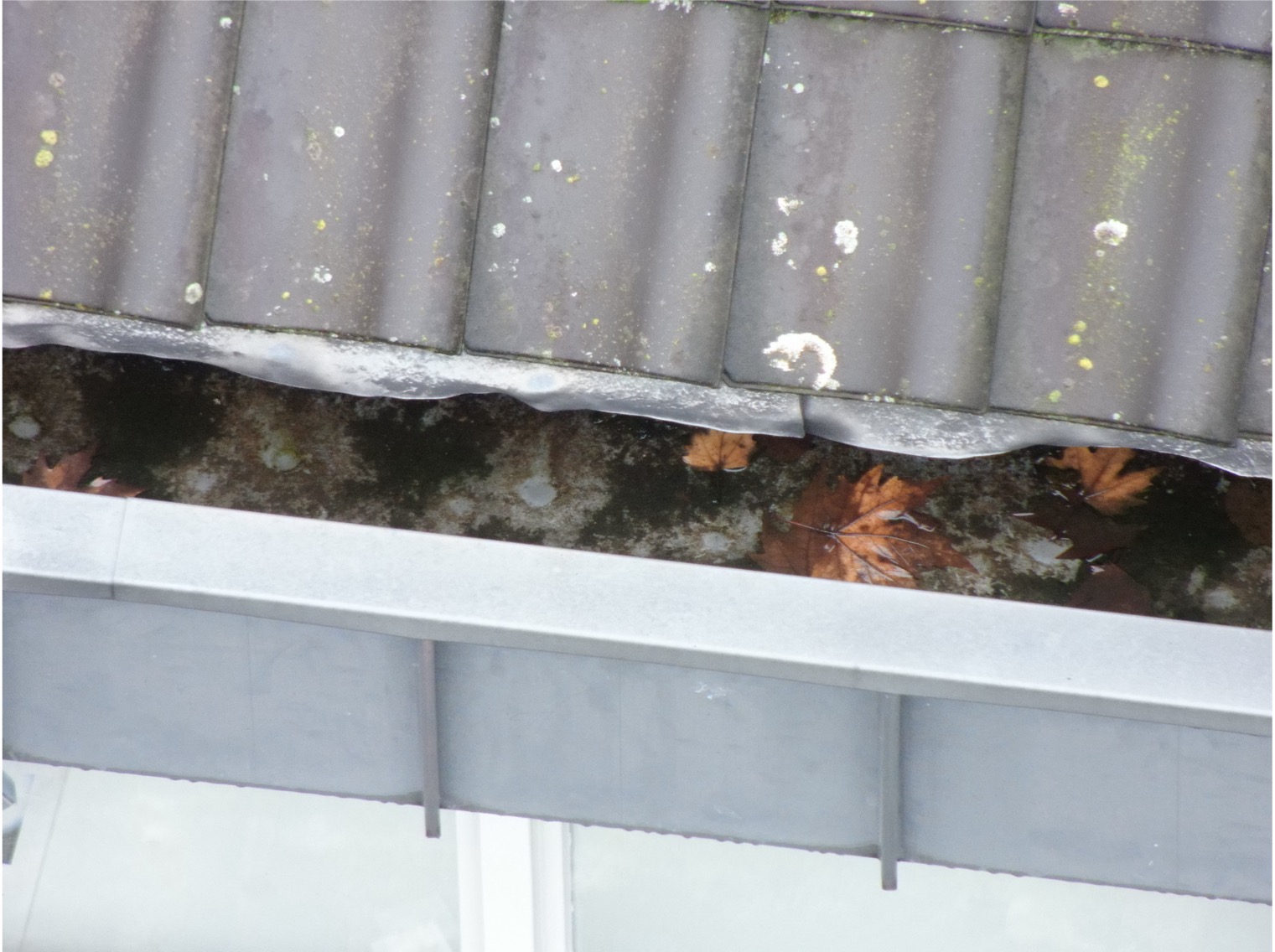 Close-up from the inspection showing a clogged gutter filled with leaves and standing water